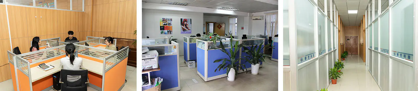 Ningbo Ruishi Technology Co., Ltd.